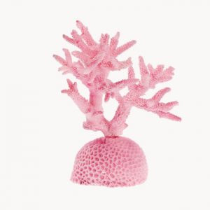 Pink Coral